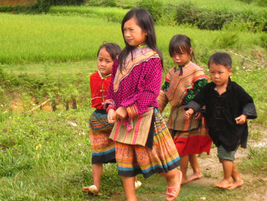 Children of Vietnam (Flower H'Mong Minority)