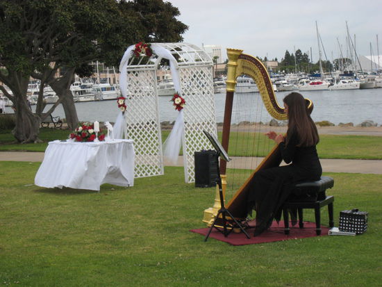 Wedding cermony ... in the park near the harbour!