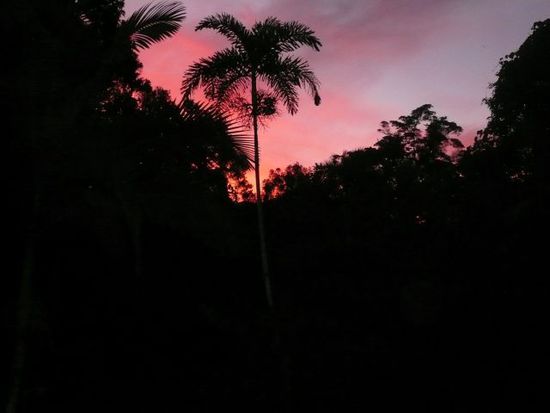 Der Sonnenuntergang hinterm Haus