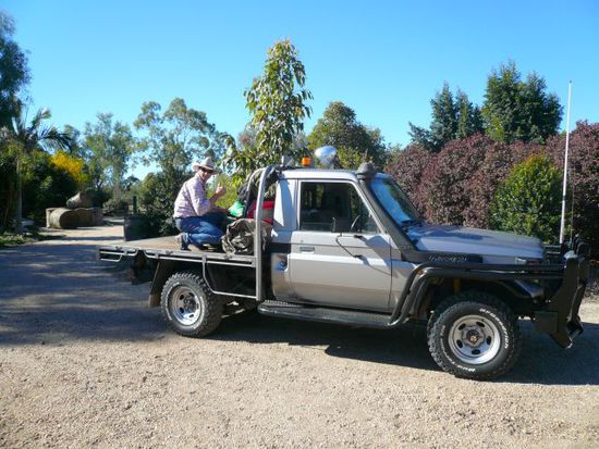 Toyota Landcruiser... so oder so ähnlich sehen die meisten Autos aus, die man im Outback antreffen kann.