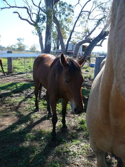 Sie sieht harmlos aus, wie der kleine Tigger, ist sie aber nicht!!