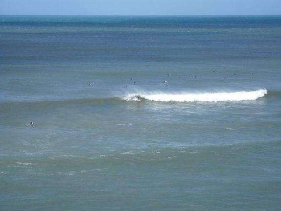 ... alle schoen am surfen (will auch!!)
