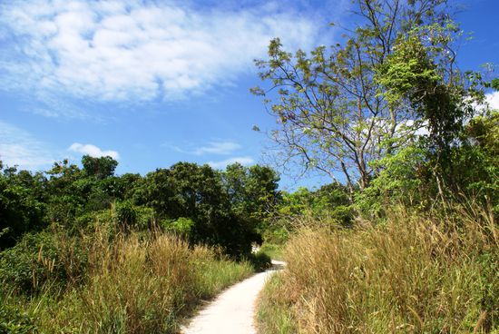 Fusspfad durch die Insel (ohne Muell)