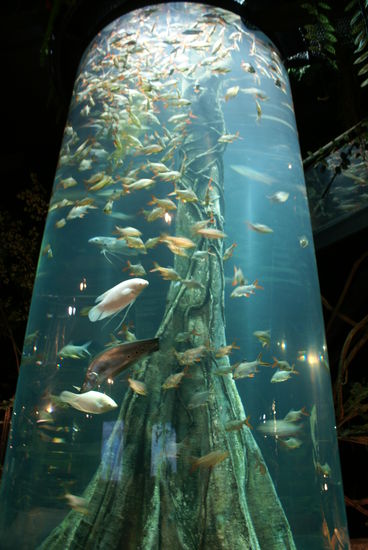 Aquaria KLCC