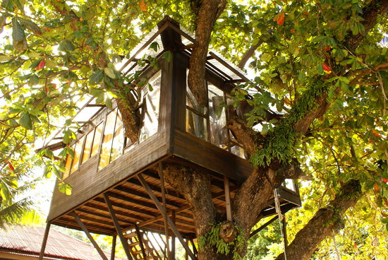 unser Baumhaus