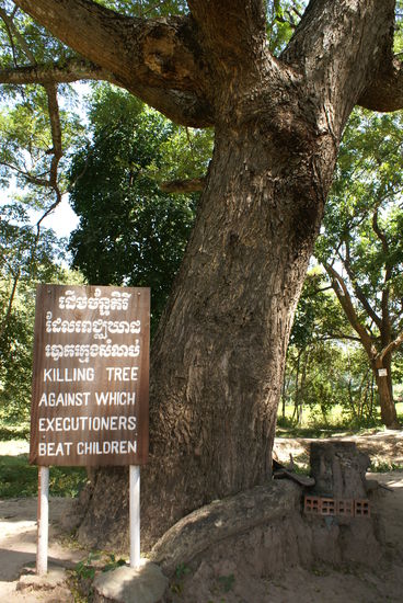 Killing Tree. An diesem Baum wurden Saeuglinge und Kinder totgeschlagen....