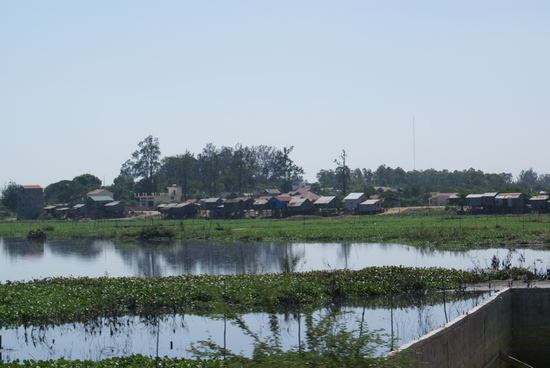 Wohnsiedlung auf Stelzen mitten im Reisfeld