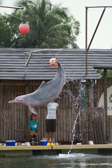 ....und beim Fussball spielen....