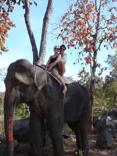Zwei Deppen im Zirkus