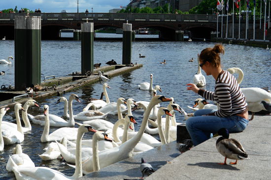 Jungfernstieg - Nein, Verena hat Ihre Angst vor Federviechern nicht überwunden. 