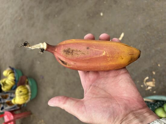 Rote Banane, , sehr lecker!!!!