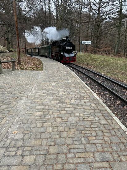 Der rasende Roland …