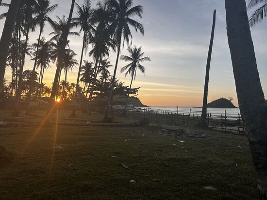 Viele Kokosbäume gibt es auch !