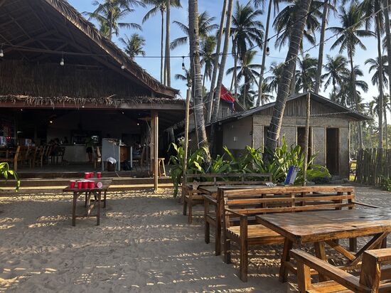 Die Mad Monkey Partyhöle 