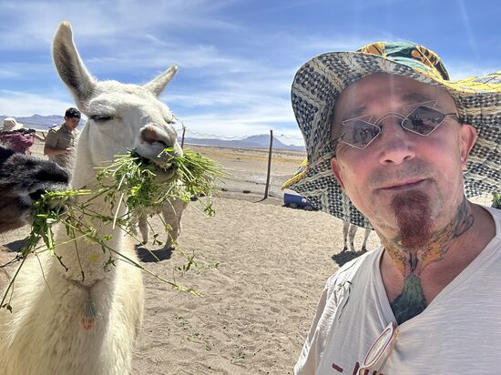 Die Ähnlichkeit ist doch verblüffend oder