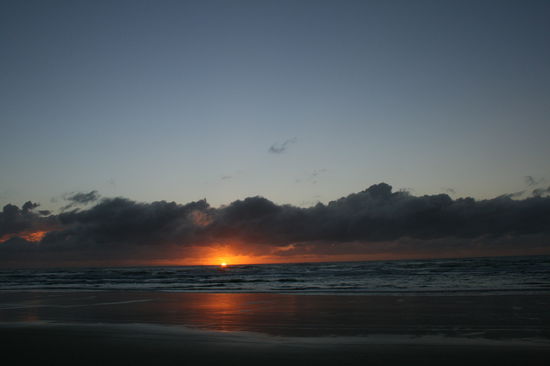 Ich freu mich wie irre wenn ich diese Bilder sehe!!!