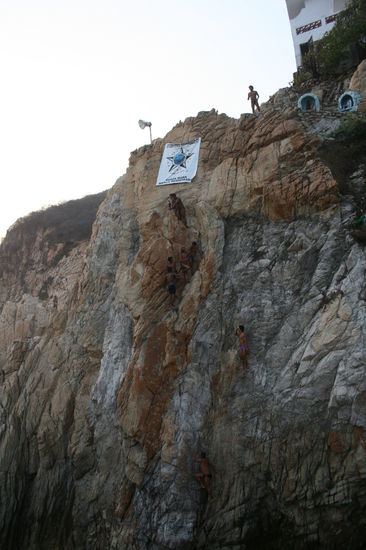 So sieht also ein Ameisenhaufen aus 