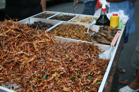 Ich haette ja nicht geglaubt,dass mann so etwas essen kann.Aber ich konnte und wollte mich auch nicht dazu ueberwinden.
Guten Apetitt!!!