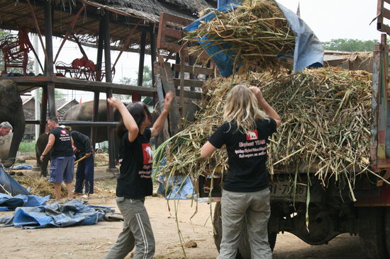 Rechts Denise die mich durch das Resor gefuehrt hat, links Bianca aus Schottland.So sieht also Elefantenausmissten aus