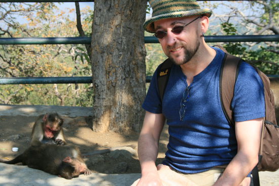 Roter Kopf =Weibchen Grauer Kopf=Maenchen ja man sieht ja auch wer die Arbeit hat...