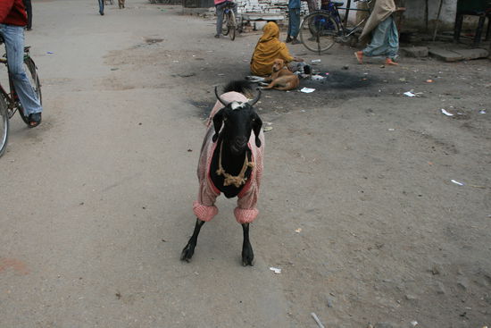 Fashionaward 2010...