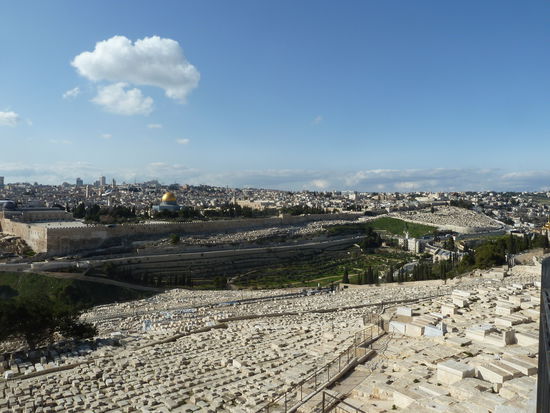 Ein Blick auf die Stadt vom Oelberg...