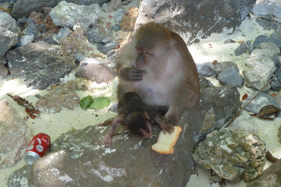 Mama mit Baby,das kleine hat nur damit rumgespielt..