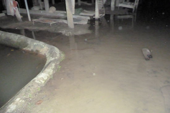 Bei dem Bild hab ich auch ziemlich schwer geatmet,die beiden Schlangen waren ca 1m vor uns und giftig...