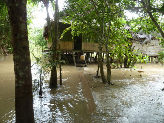 Unser Anacondadomizil im Amazonas,ein Traum..