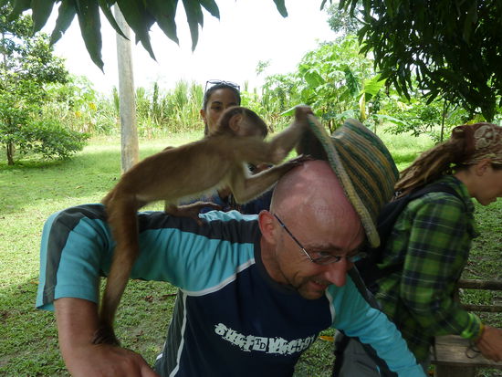 Der musste erstmal mit dem Papagei auf meinem Kopf kaempfen..