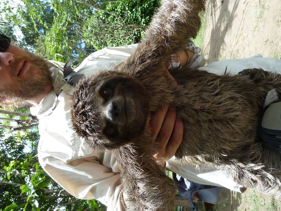 Die Aehnlichkeit ist doch verblueffend oder ,sorry Daniel...