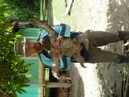 bewegt hat der sich nicht viel,das ist ein Sloth...