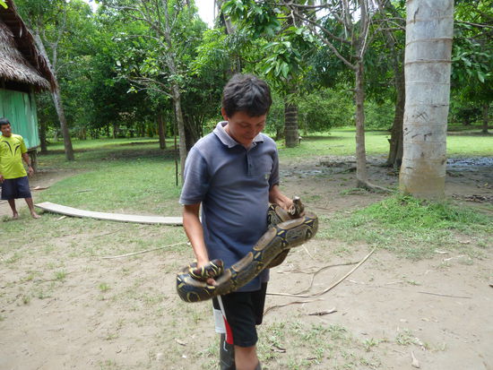 Oscar der Schlangenbaendiger mit Anaconda construckta