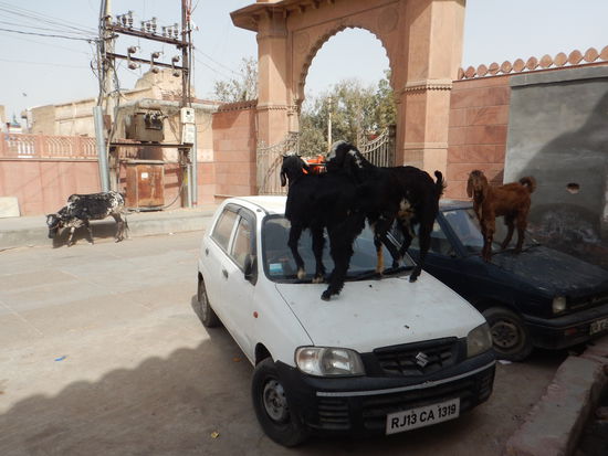 Ja , schlecht geparkt würd ich sagen…