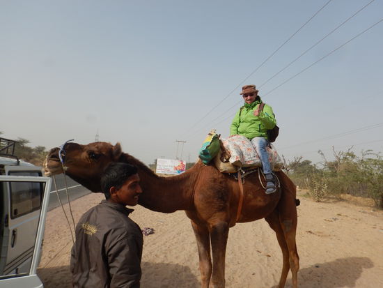 Nagat, Kame Theol und Enrico