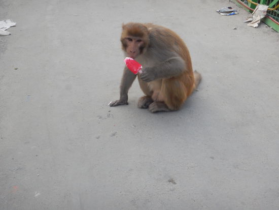 Der hat so lange gebettelt, bis er das Eis gekriegt hat, aber nicht von mir …