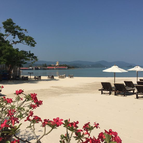 Ja, Sonne satt würd ich mal sagen 