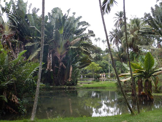 Ist doch schön, der Botanische Garten oder …!