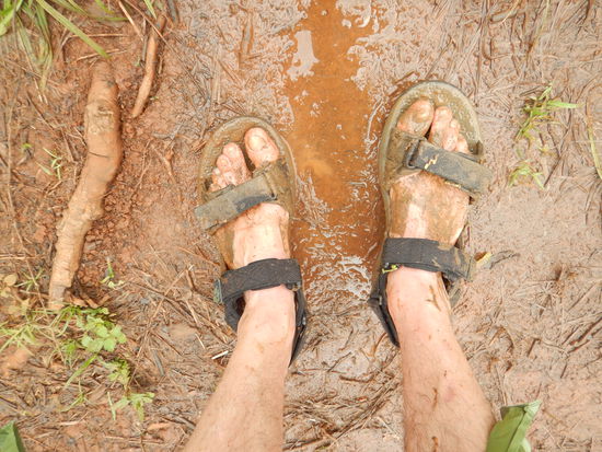 Nach dem Regenwald Trip am nächsten Tag…