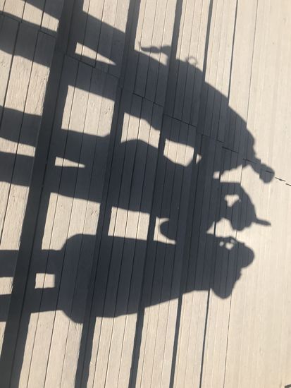 Kleines Spassfoto, weil die Sonne so schön geschienen hat 