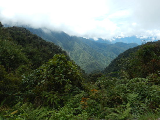 Dafür hat sich das gelohnt , oder nicht 
