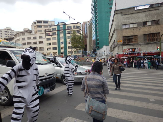 Die freundlichen Zebras dienen zum respektvollen Umgang zwischen den Autofahrern und den Fussgängern...