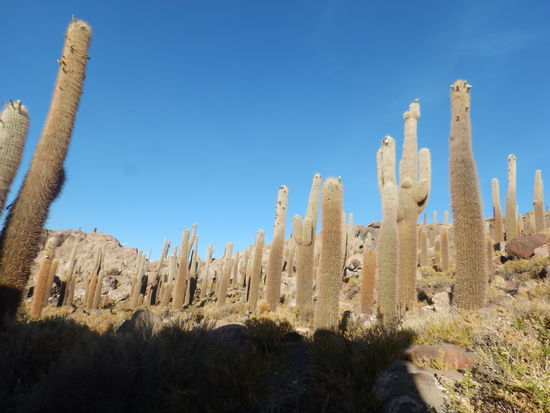 Isla Incuahasi, ein Traum sag ich euch ...