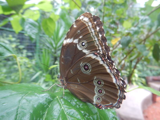 Das ist schon Biocentro Guembe in Santa Cruz, bei Regen ...
