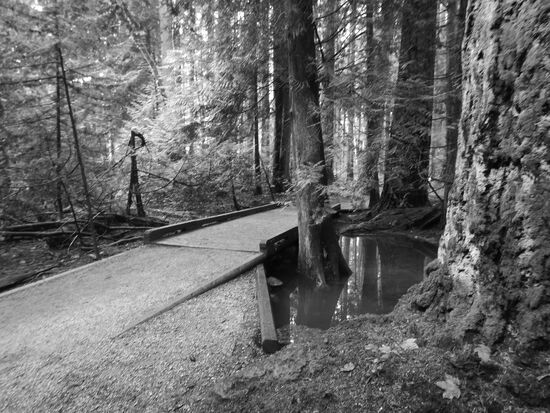 Pazific Spiritual Park....das ist da wo die Häuser mit den Alarmanlagen stehen 