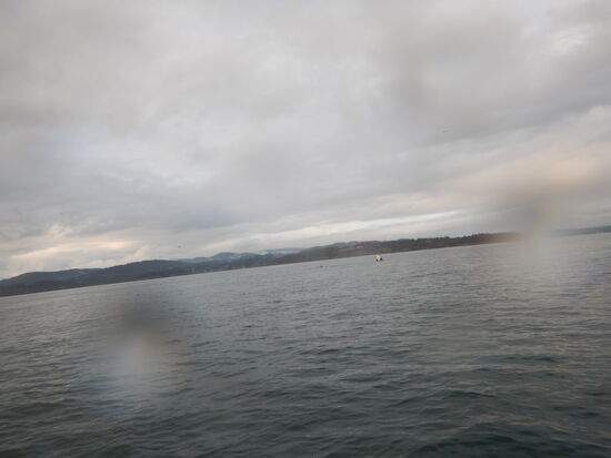 Moby Dick als Orca verkleidet 