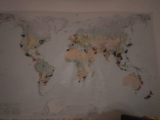 Ein paar Nadeln werd ich danach wieder setzten können 