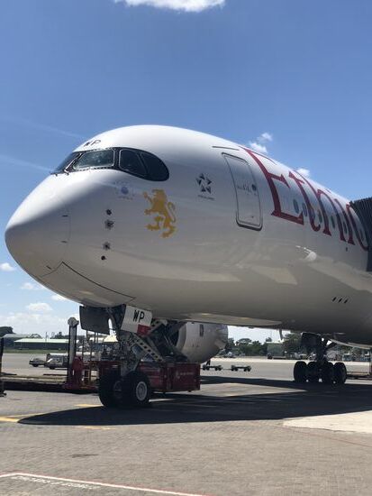 So sieht der Flieger nach Nairobi aus, eigentlich auch blöd, jeder weiß, wie ein Flugzeug aussieht  Aber es ist sicher!!!