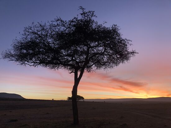 Schöner Sonnenaufgang!