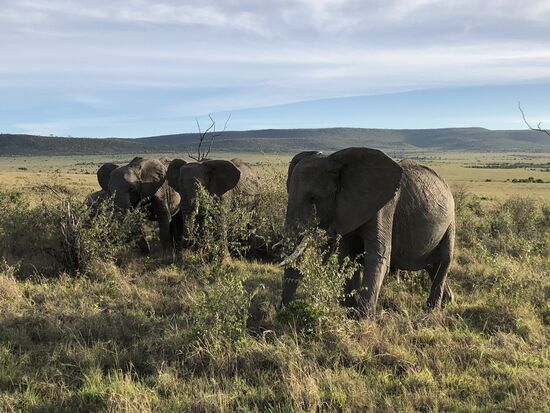 Die dürfen nicht fehlen!